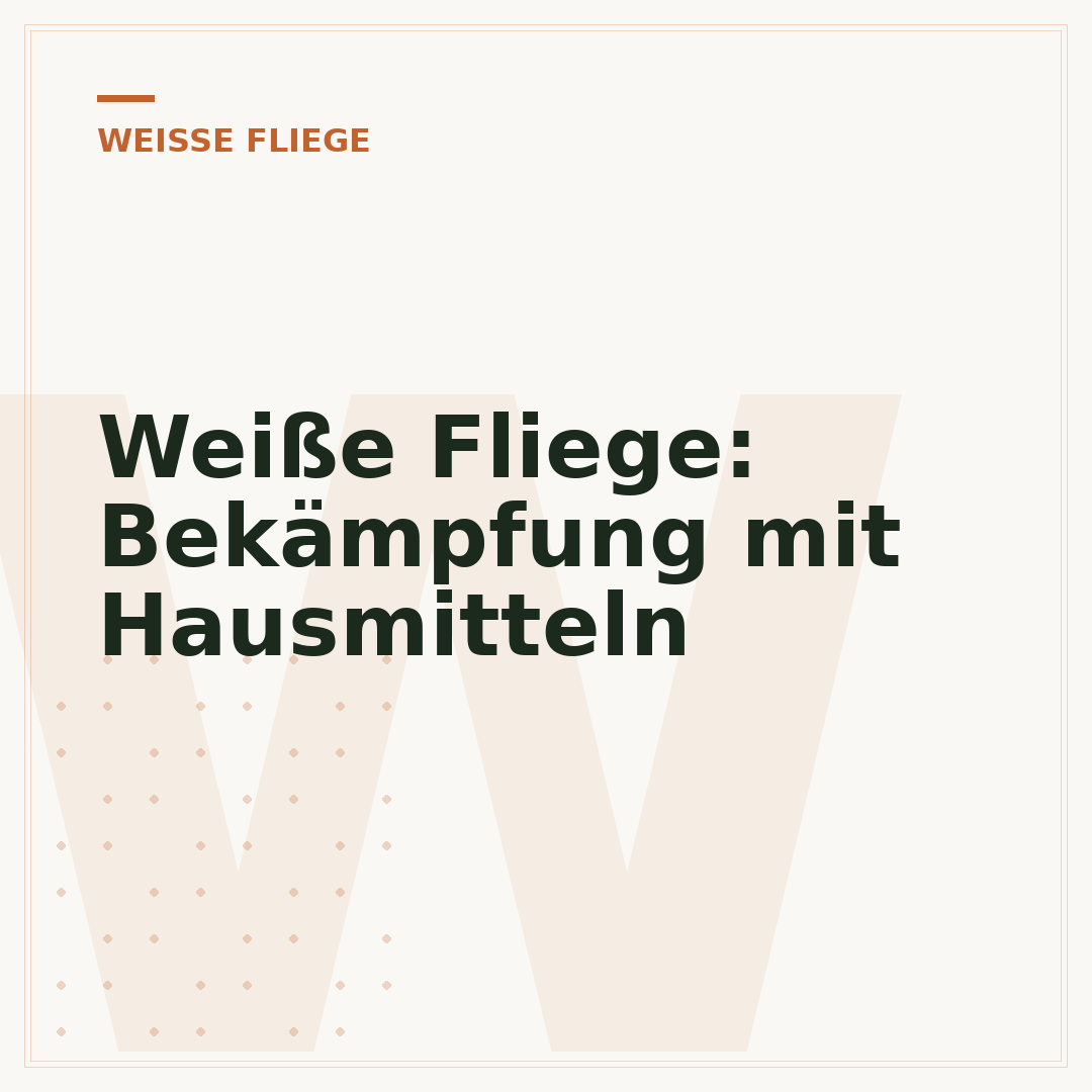 Weiße Fliege: Bekämpfung mit Hausmitteln