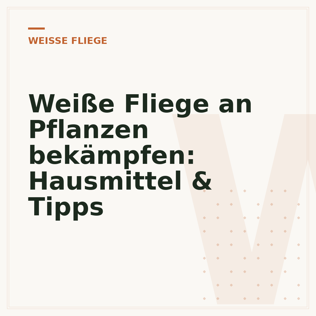 Weiße Fliege an Pflanzen bekämpfen: Hausmittel & Tipps