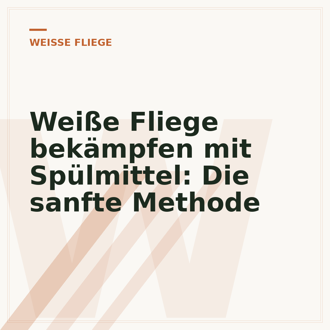 Weiße Fliege bekämpfen mit Spülmittel: Die sanfte Methode