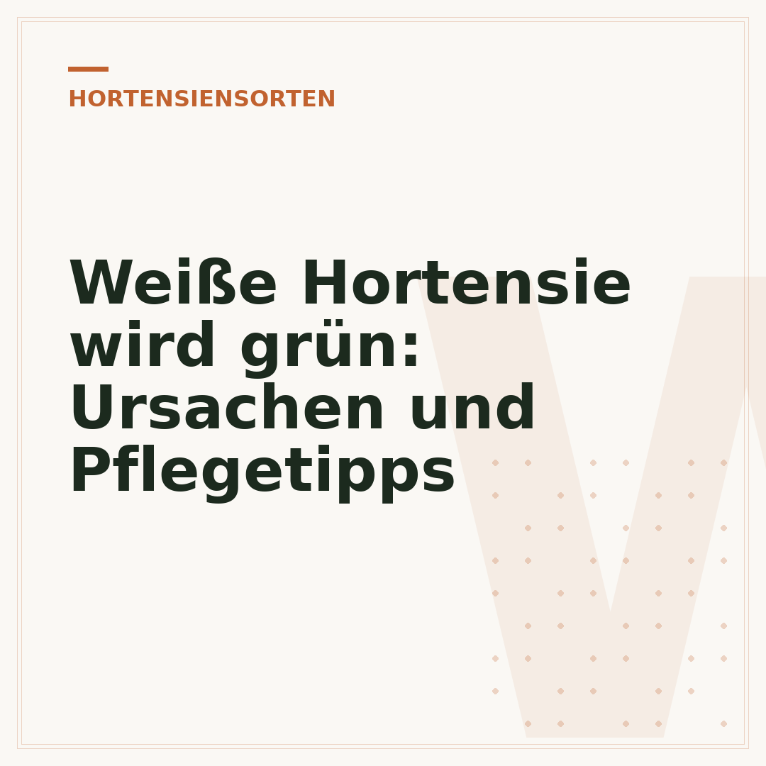 Weiße Hortensie wird grün: Ursachen und Pflegetipps