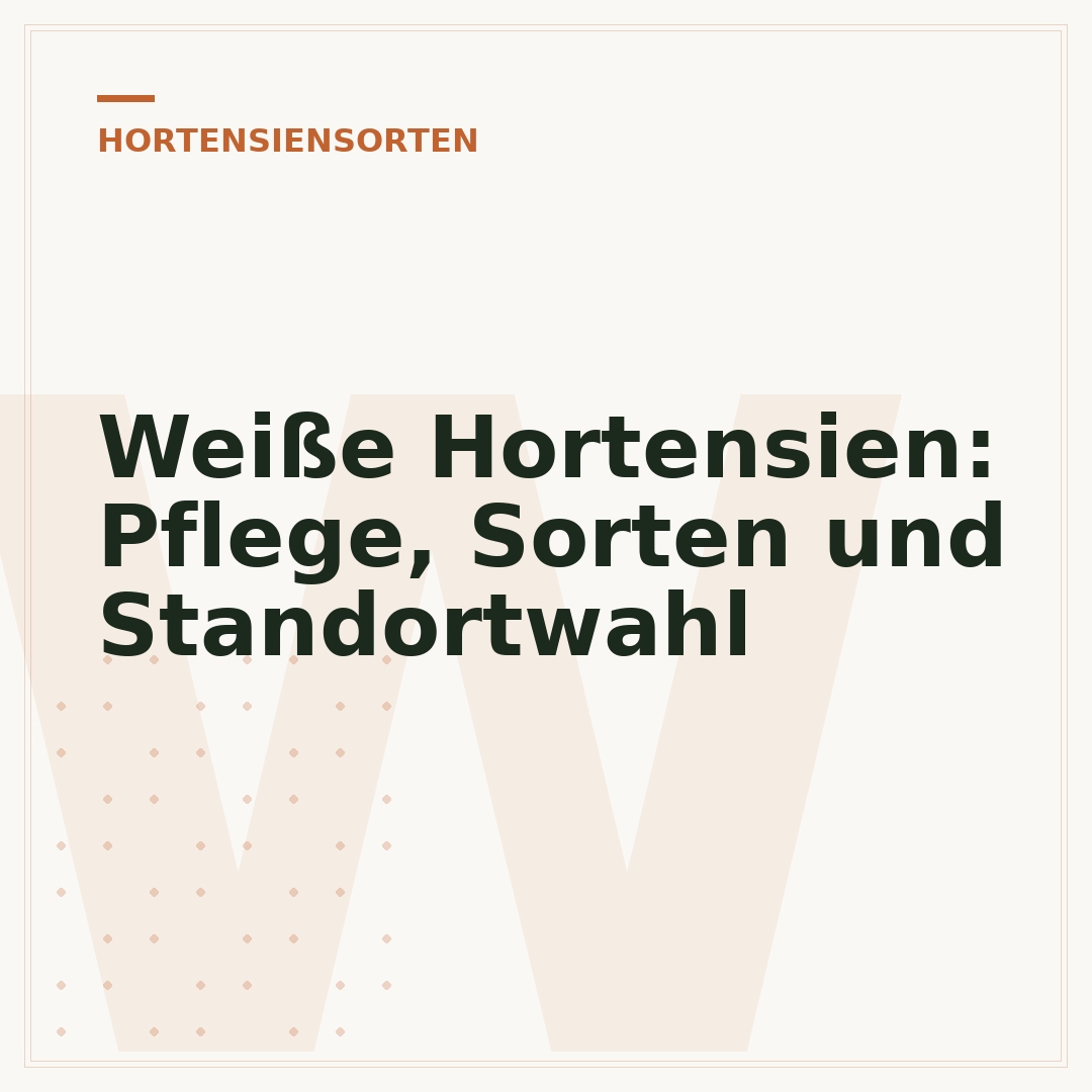 Weiße Hortensien: Pflege, Sorten und Standortwahl