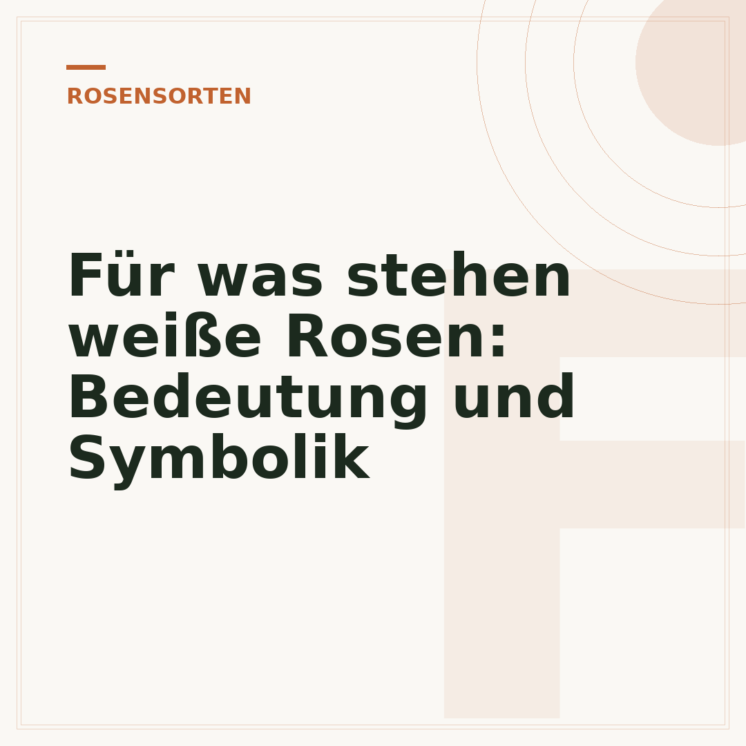 Für was stehen weiße Rosen: Bedeutung und Symbolik
