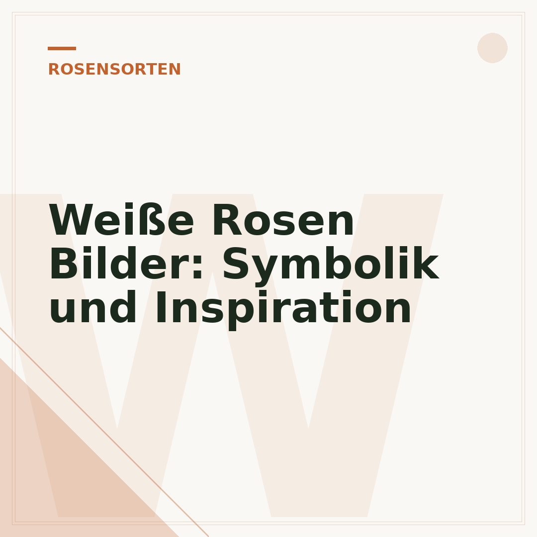Weiße Rosen Bilder: Symbolik und Inspiration