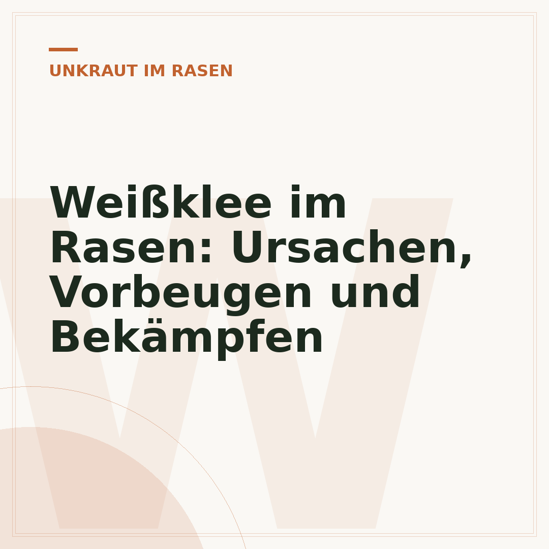 Weißklee im Rasen: Ursachen, Vorbeugen und Bekämpfen