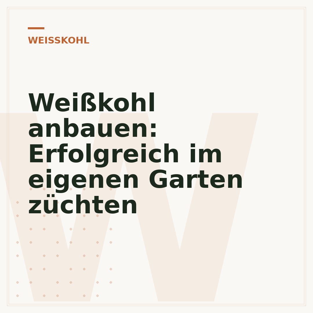 Weißkohl anbauen: Erfolgreich im eigenen Garten züchten