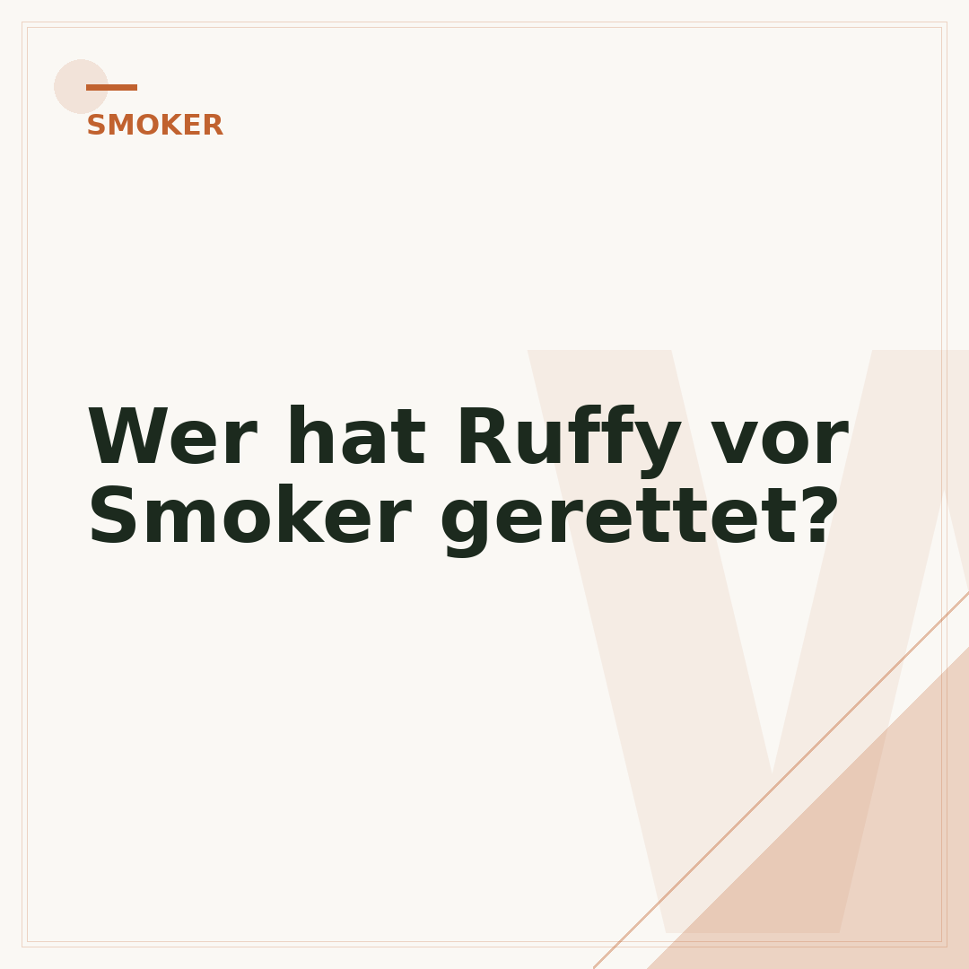 Wer hat Ruffy vor Smoker gerettet?