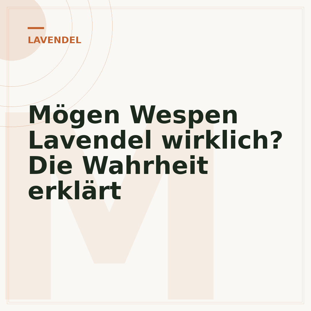 Mögen Wespen Lavendel wirklich? Die Wahrheit erklärt