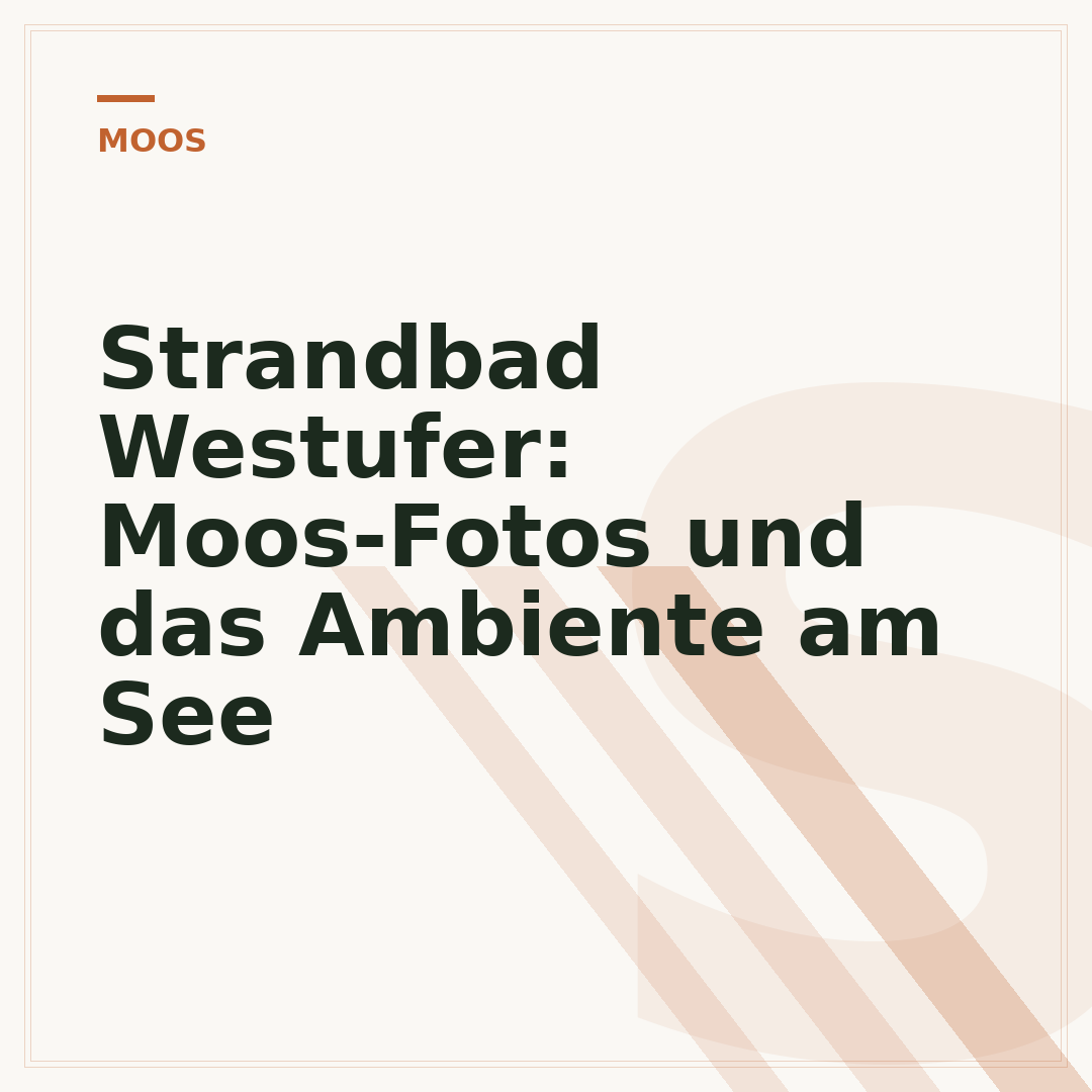 Strandbad Westufer: Moos-Fotos und das Ambiente am See