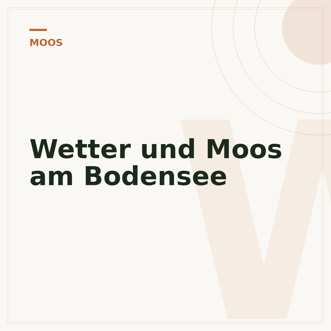 Wetter und Moos am Bodensee