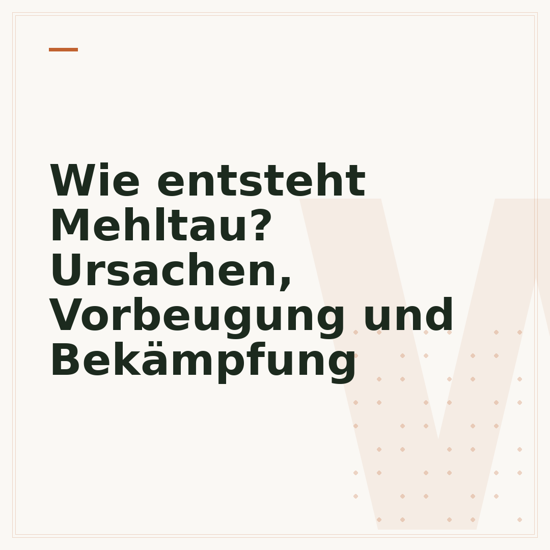Wie entsteht Mehltau? Ursachen, Vorbeugung und Bekämpfung