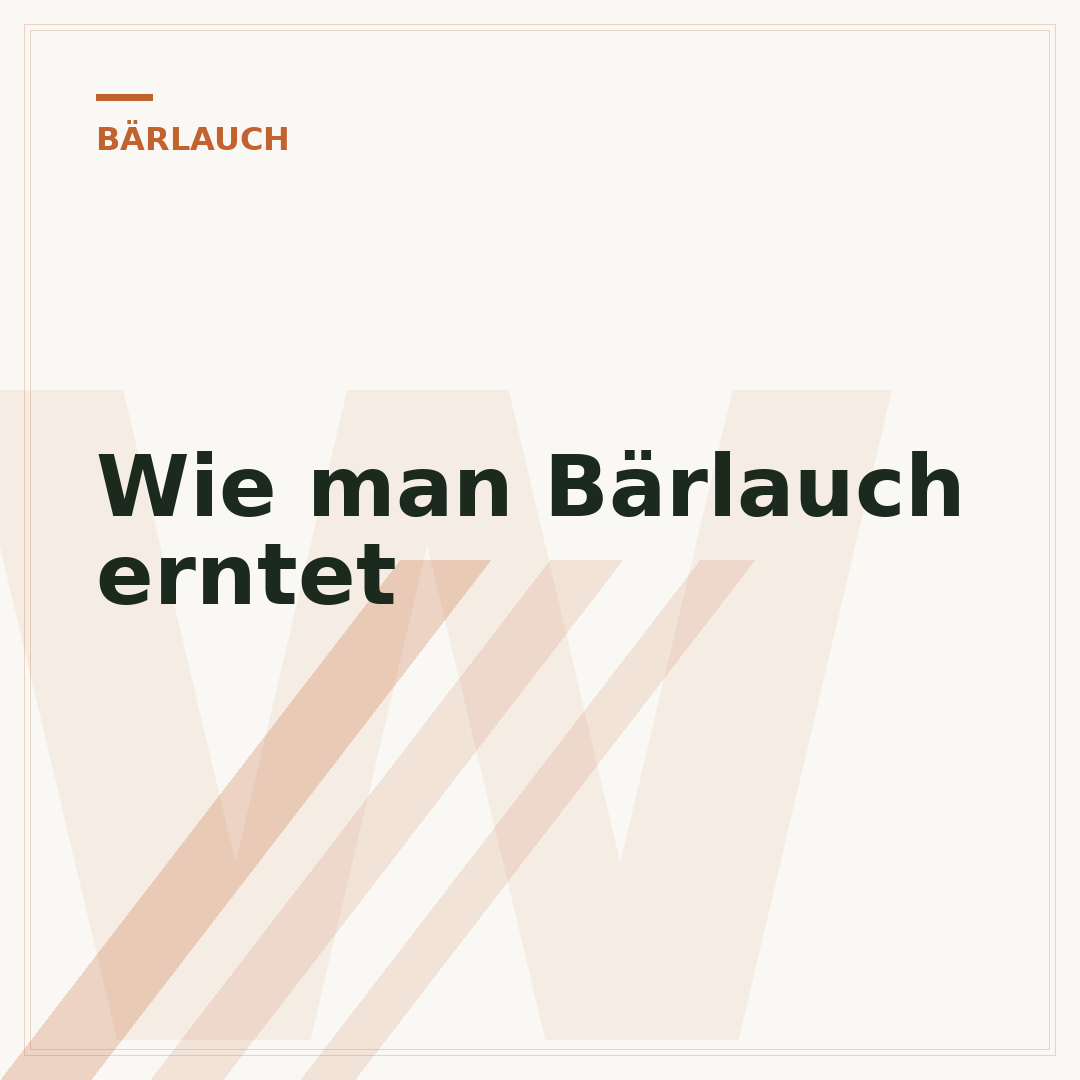 Wie man Bärlauch erntet
