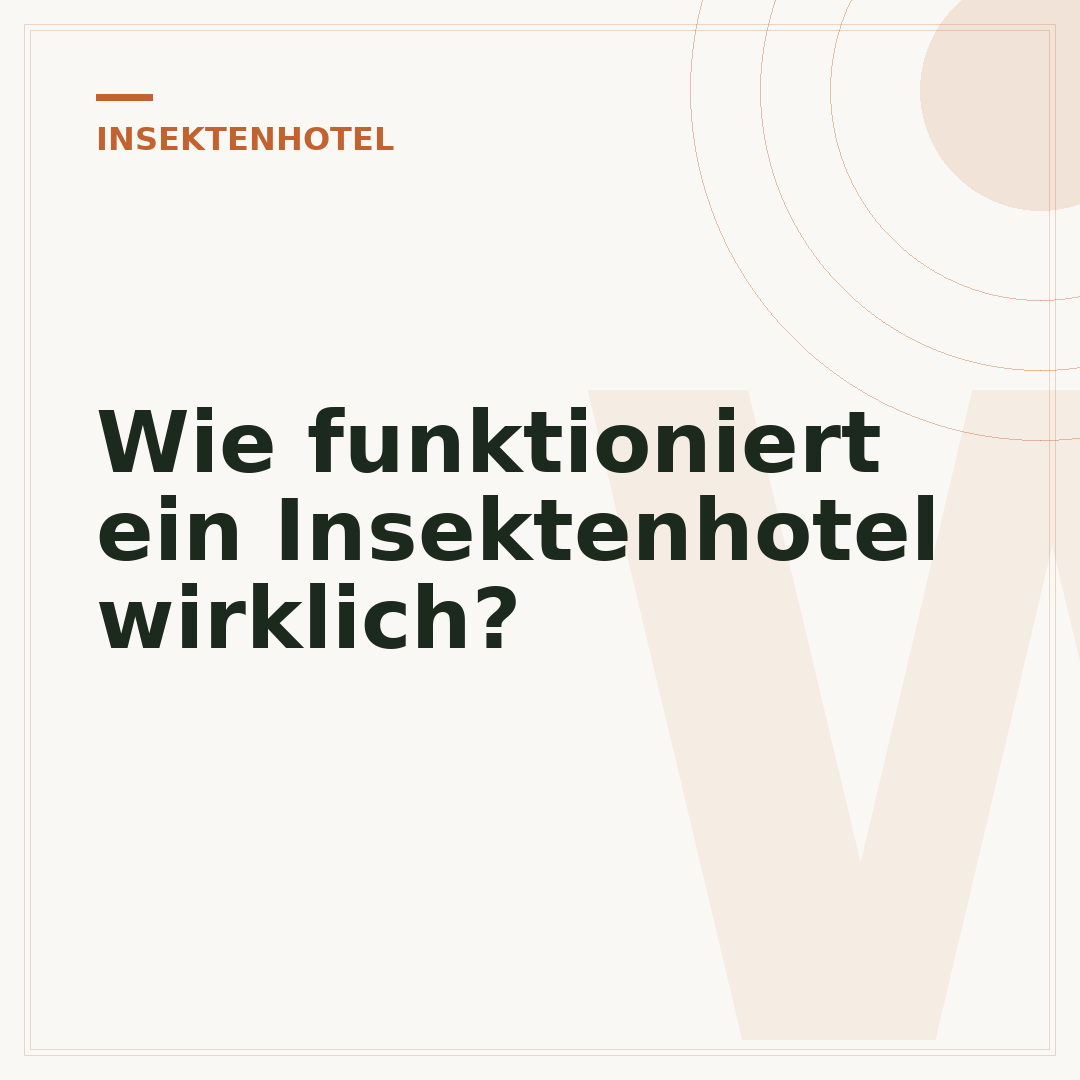 Wie funktioniert ein Insektenhotel wirklich?