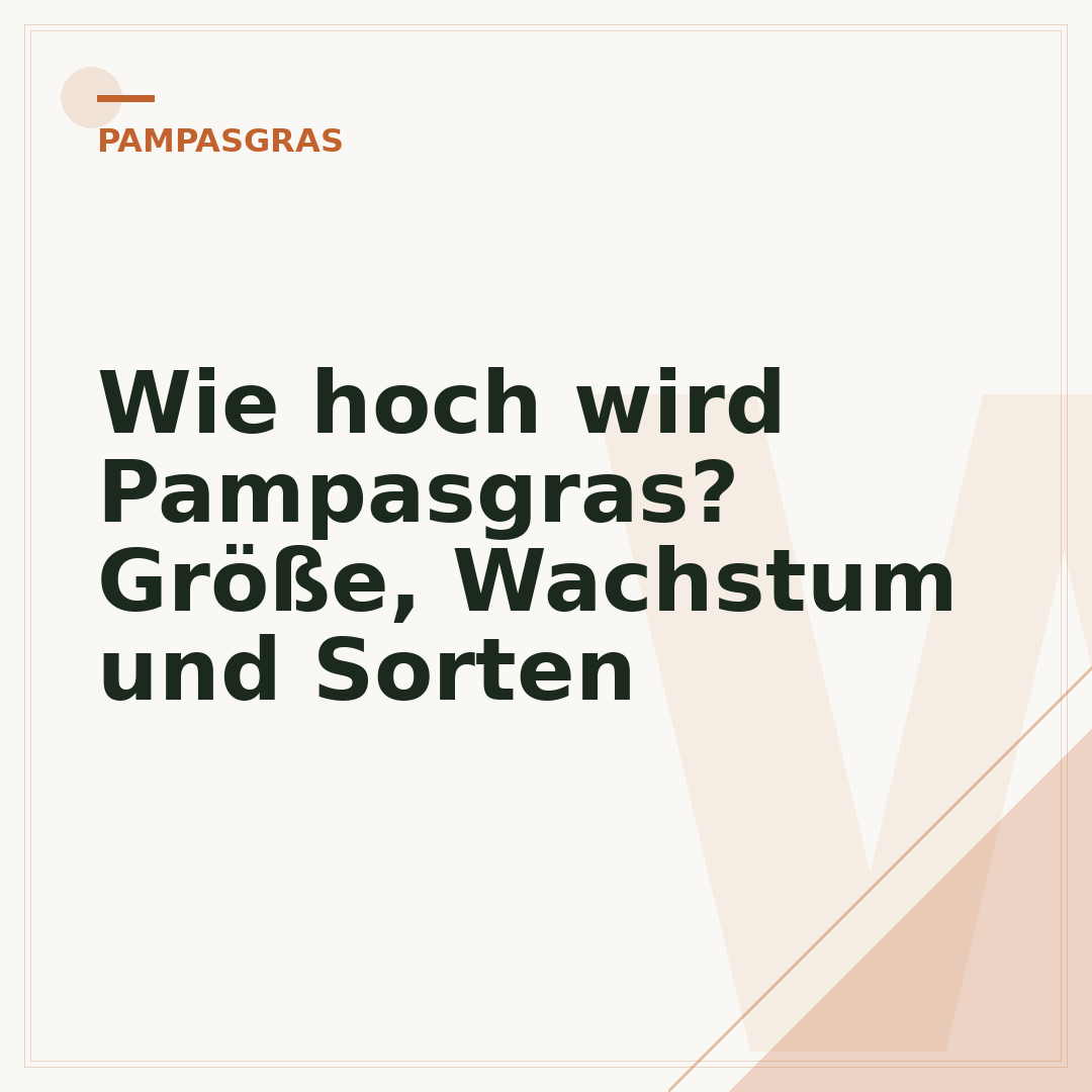 Wie hoch wird Pampasgras? Größe, Wachstum und Sorten