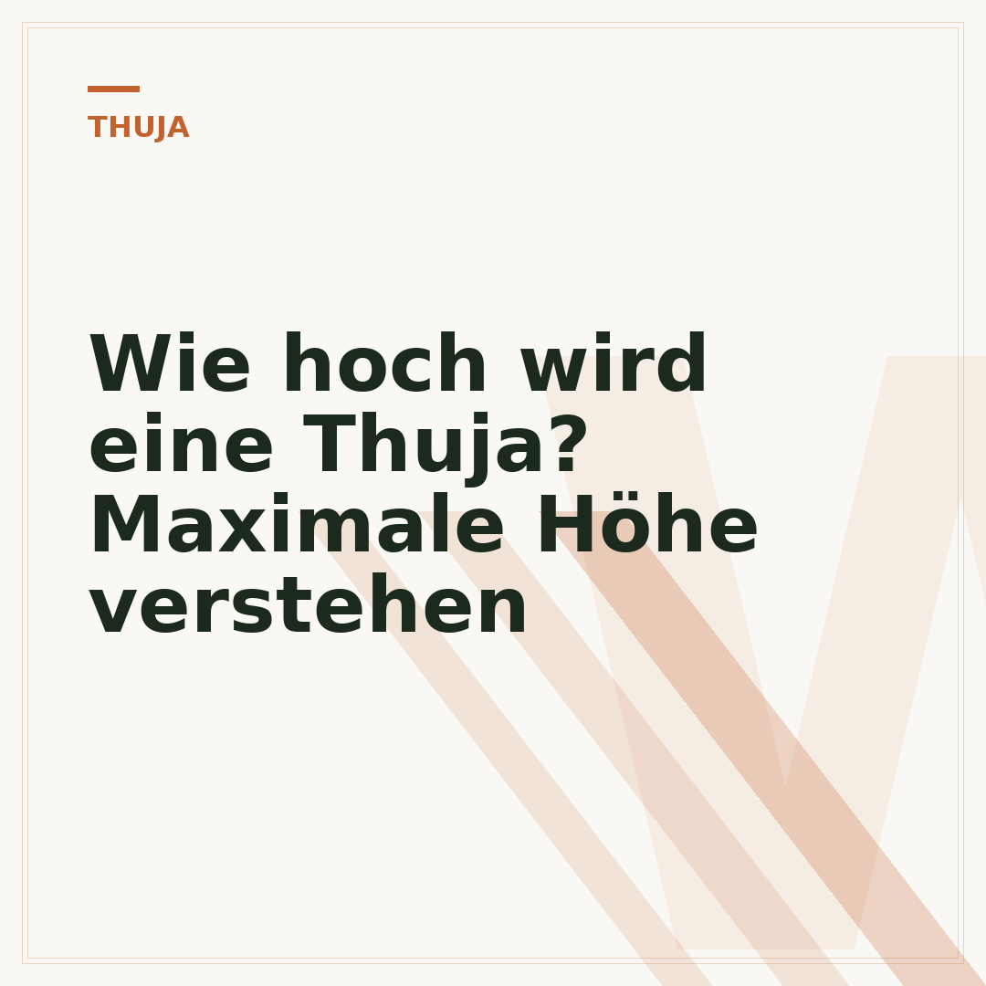 Wie hoch wird eine Thuja? Maximale Höhe verstehen
