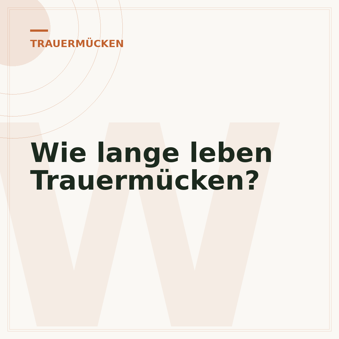 Wie lange leben Trauermücken?