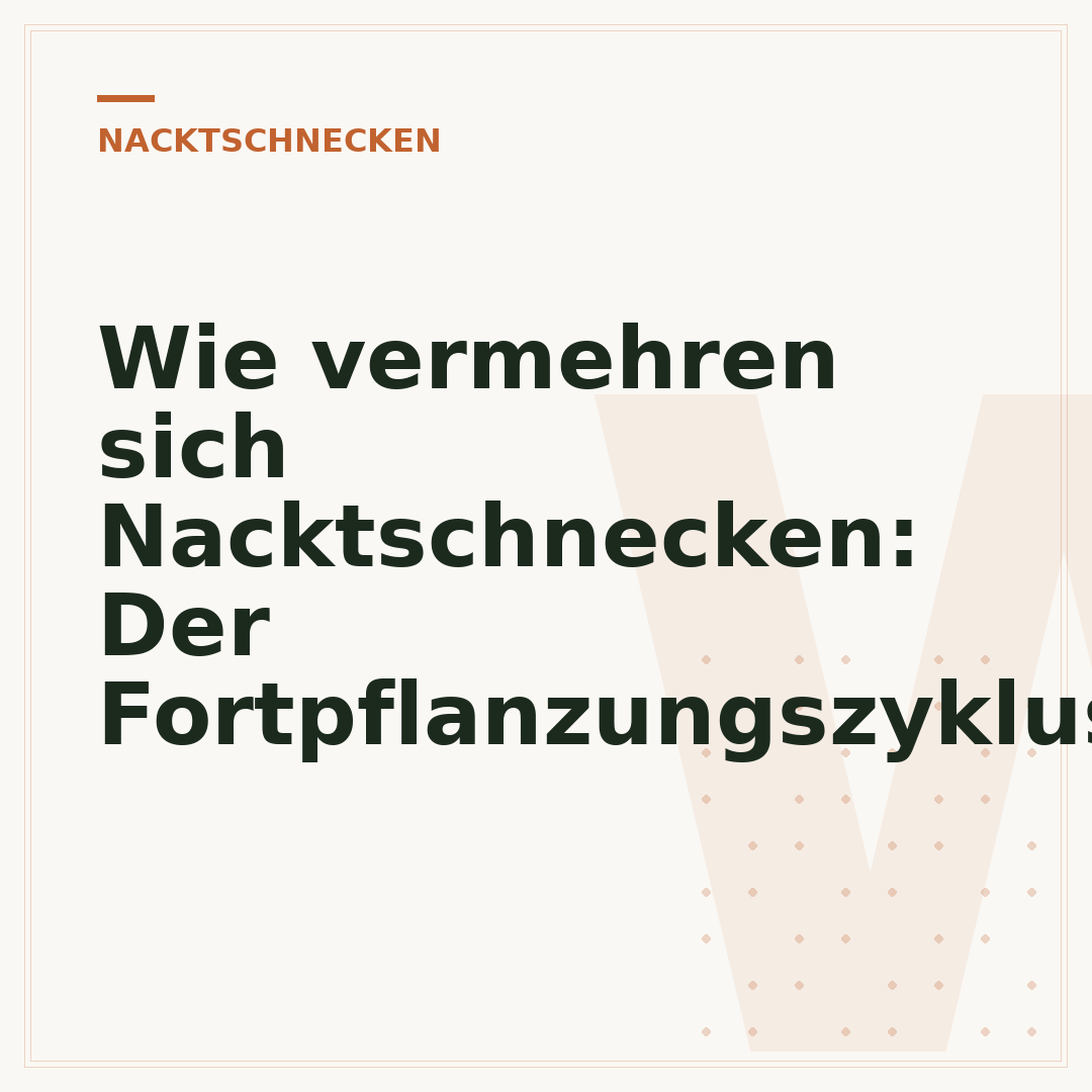 Wie vermehren sich Nacktschnecken: Der Fortpflanzungszyklus