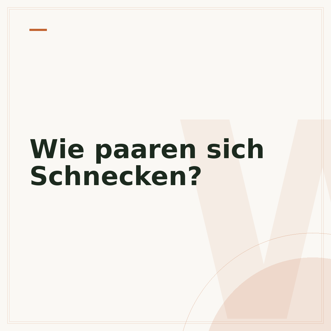 Wie paaren sich Schnecken?