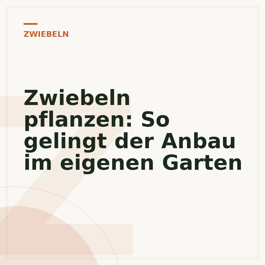 Zwiebeln pflanzen: So gelingt der Anbau im eigenen Garten