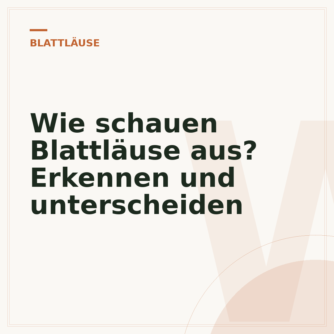 Wie schauen Blattläuse aus? Erkennen und unterscheiden