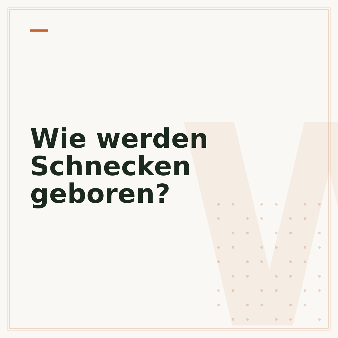 Wie werden Schnecken geboren?