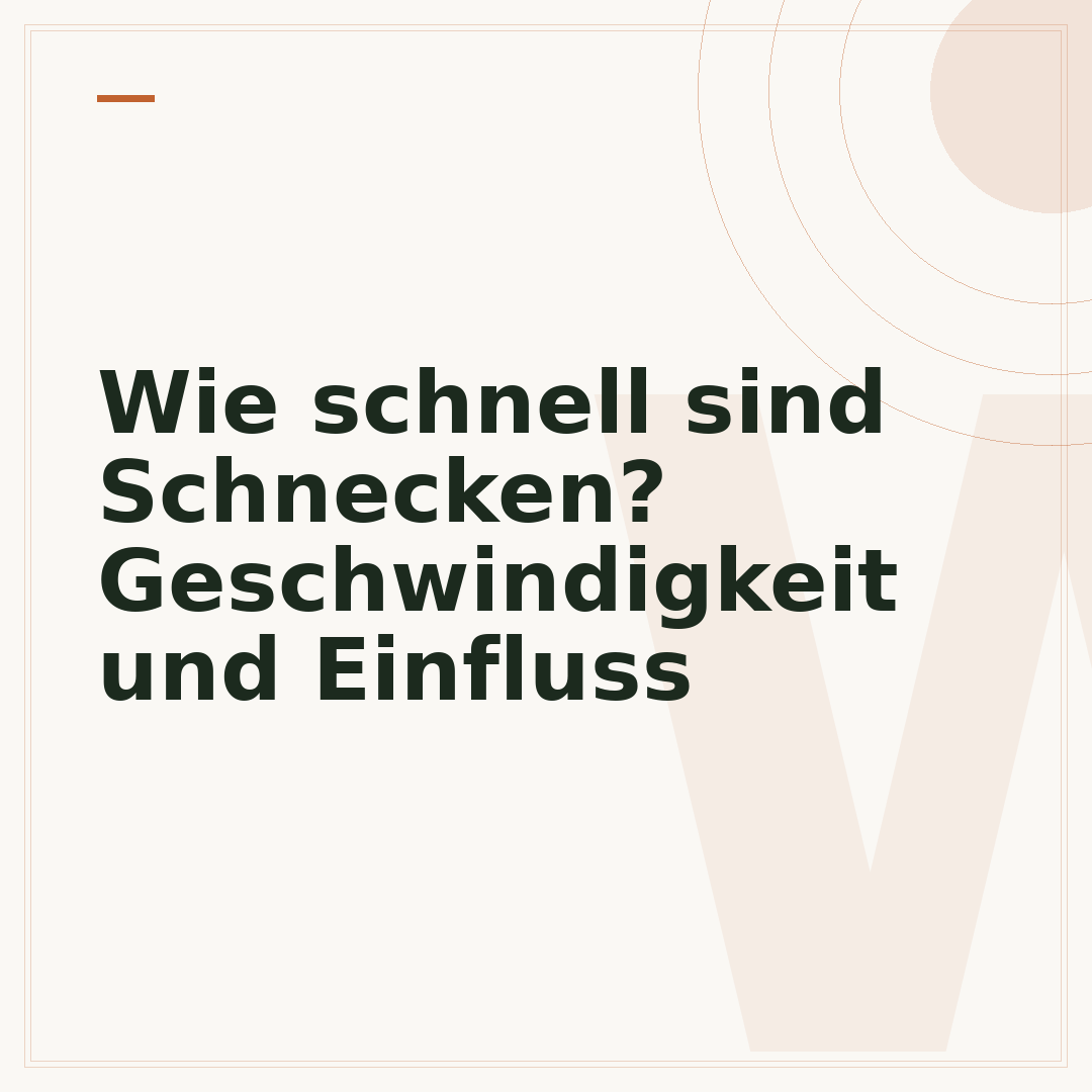 Wie schnell sind Schnecken? Geschwindigkeit und Einfluss