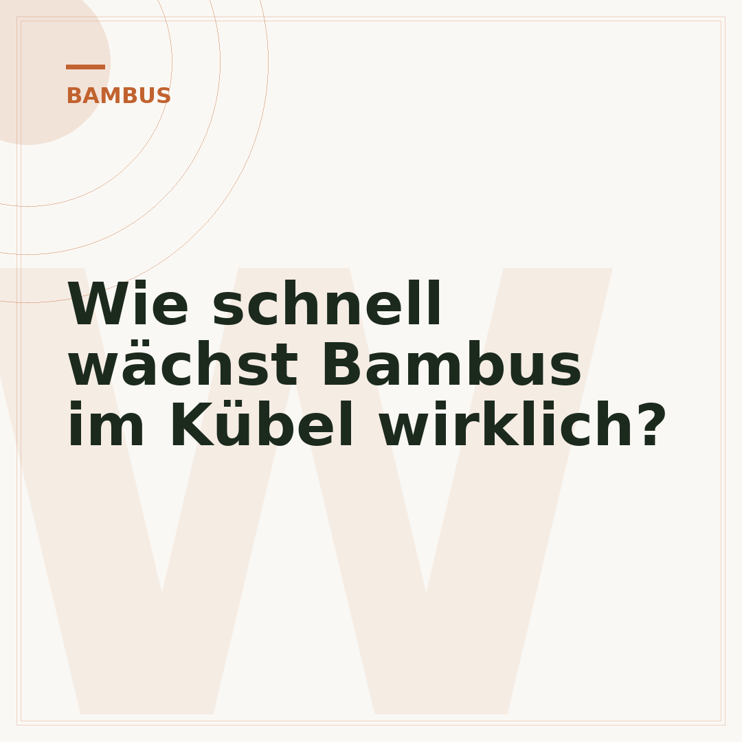 Wie schnell wächst Bambus im Kübel wirklich?