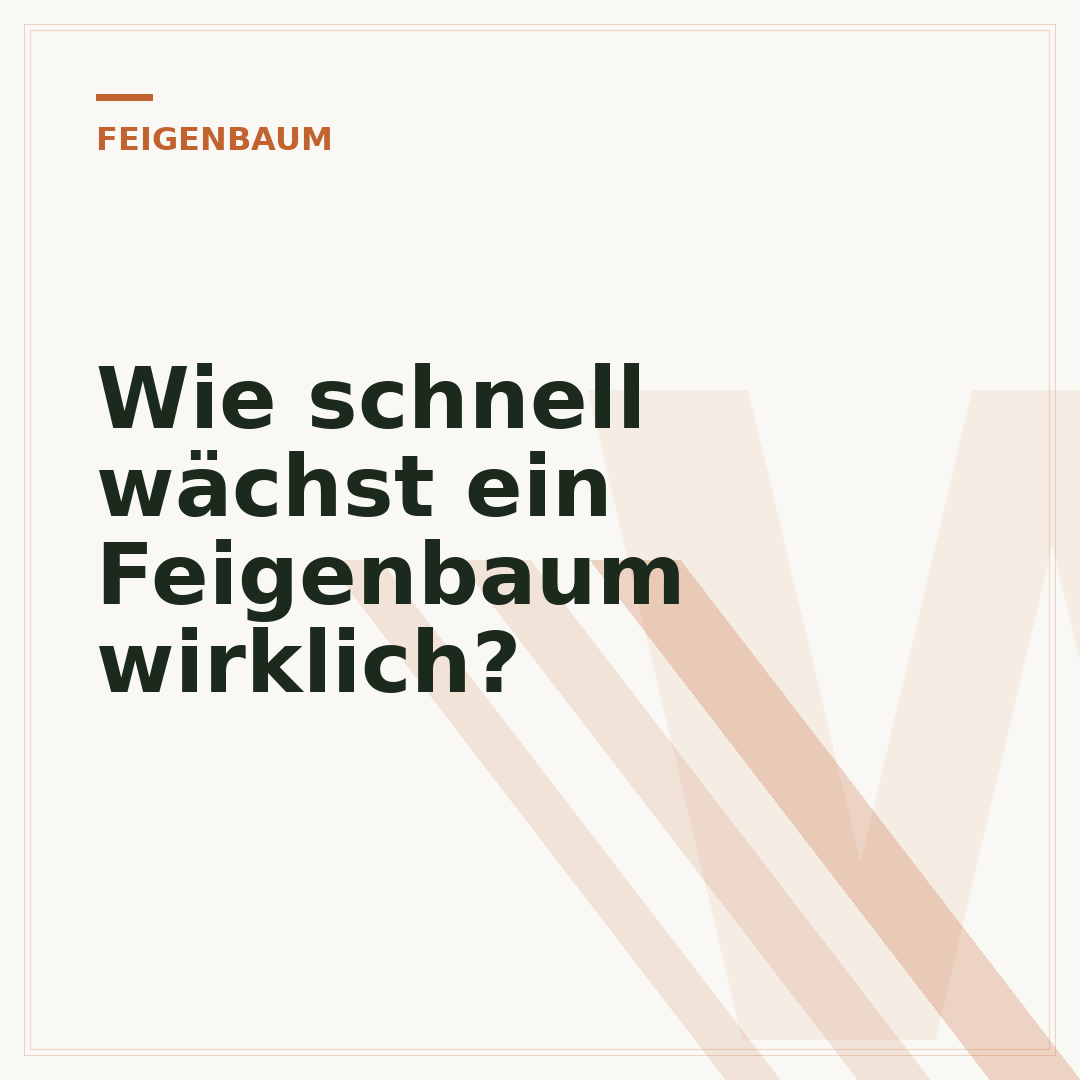 Wie schnell wächst ein Feigenbaum wirklich?