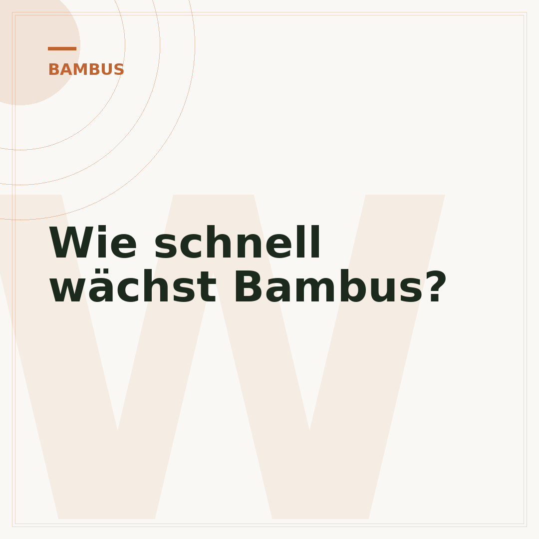 Wie schnell wächst Bambus?