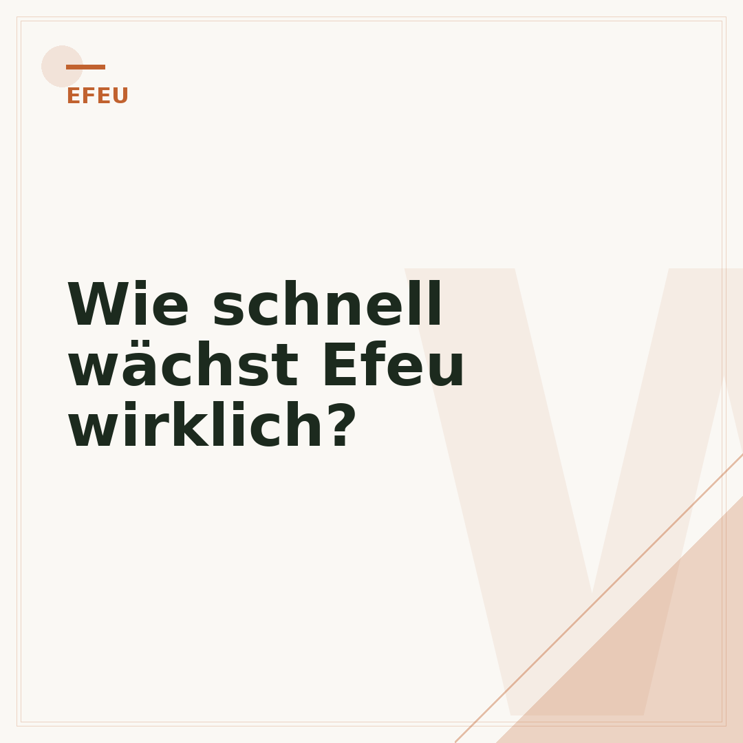 Wie schnell wächst Efeu wirklich?