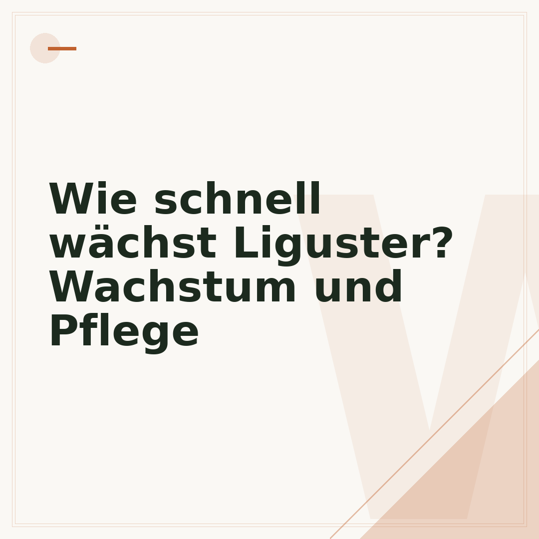 Wie schnell wächst Liguster? Wachstum und Pflege