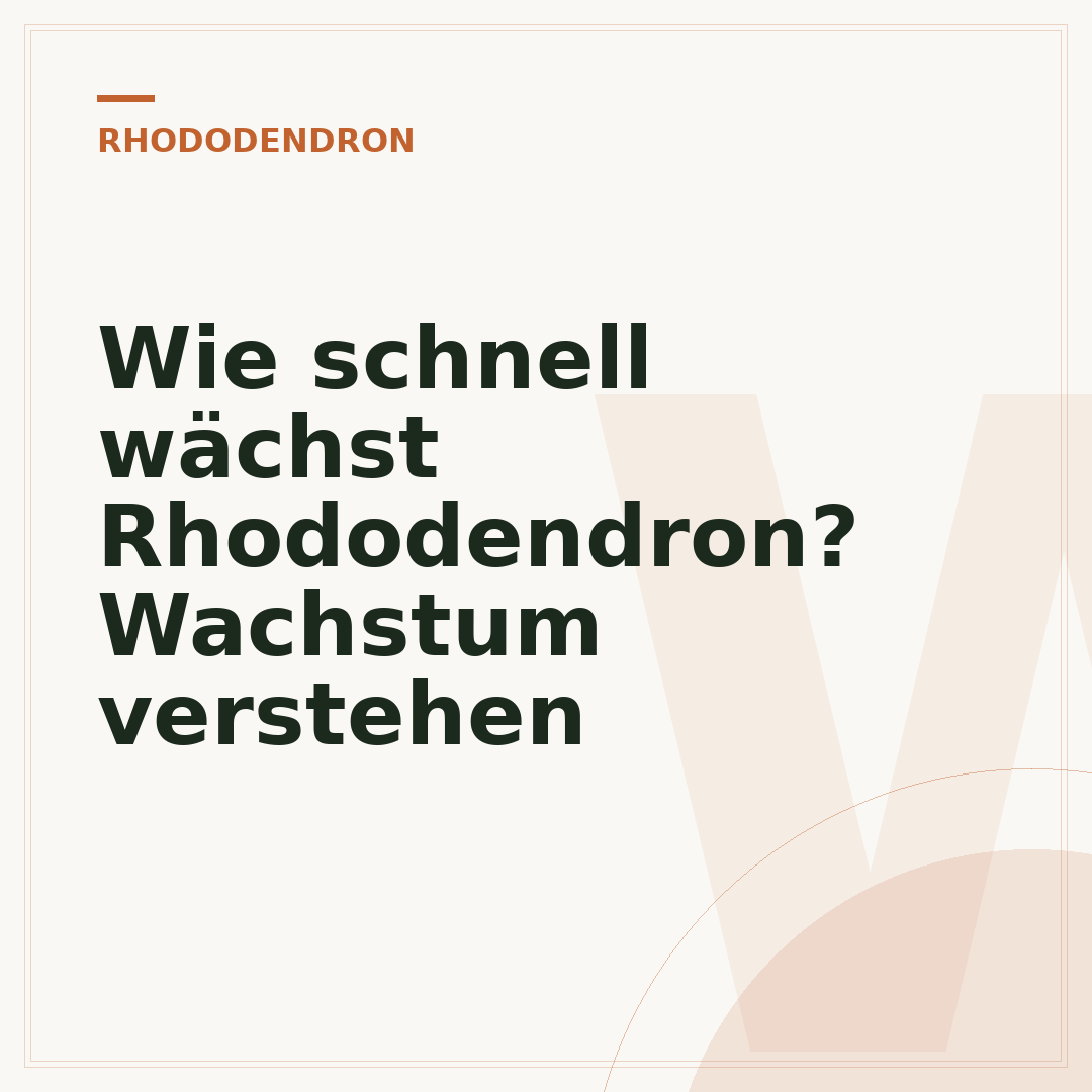 Wie schnell wächst Rhododendron? Wachstum verstehen