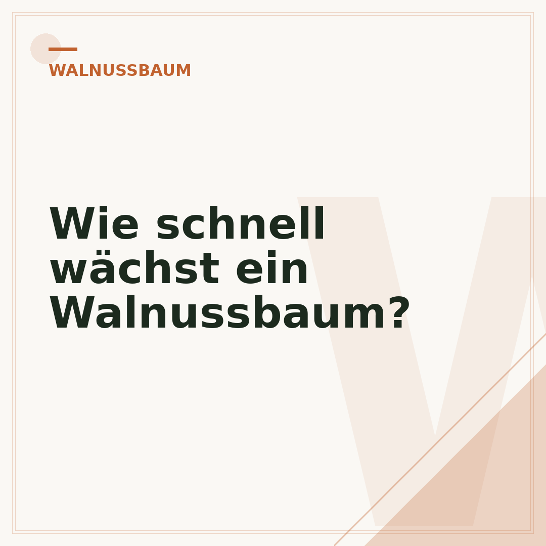 Wie schnell wächst ein Walnussbaum?