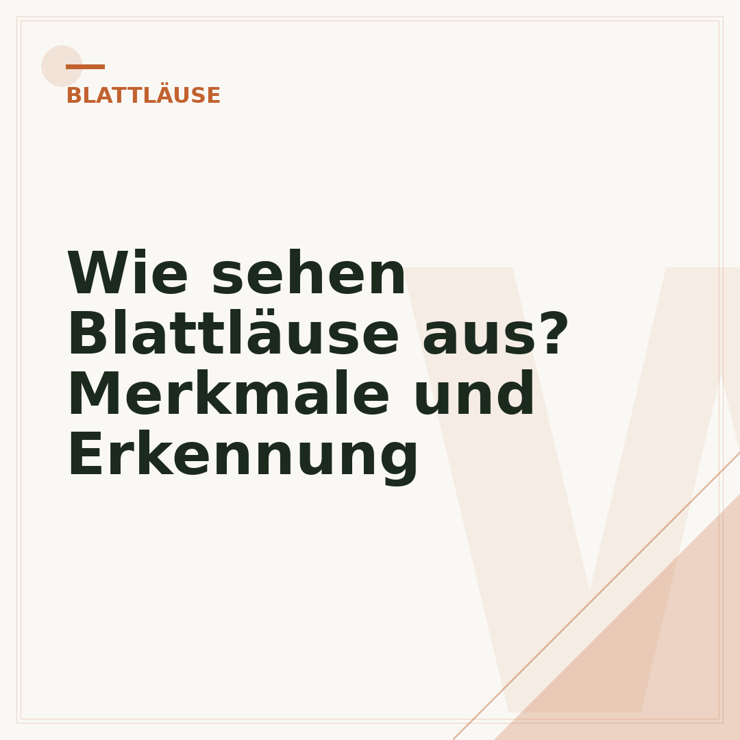 Wie sehen Blattläuse aus? Merkmale und Erkennung