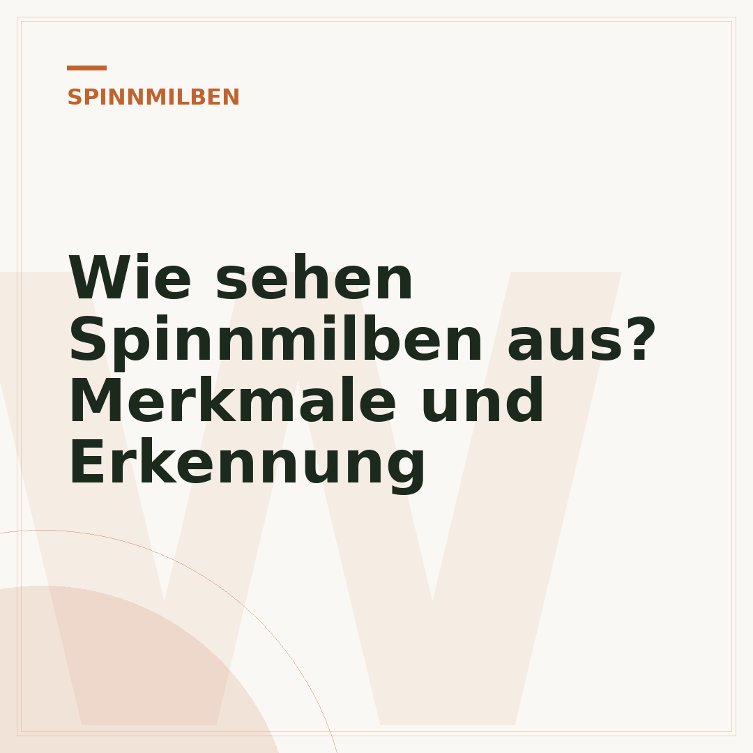 Wie sehen Spinnmilben aus? Merkmale und Erkennung