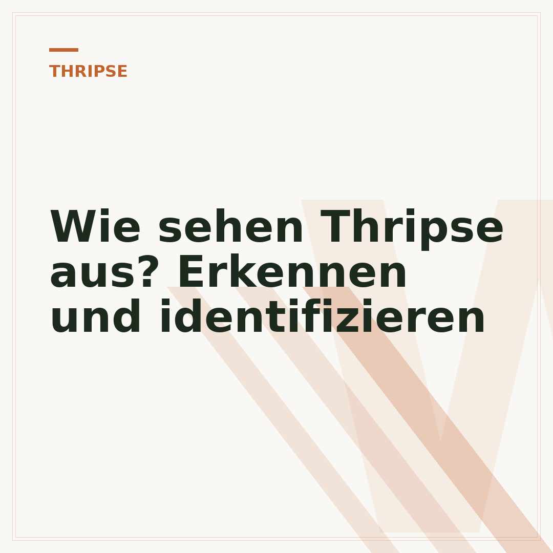 Wie sehen Thripse aus? Erkennen und identifizieren