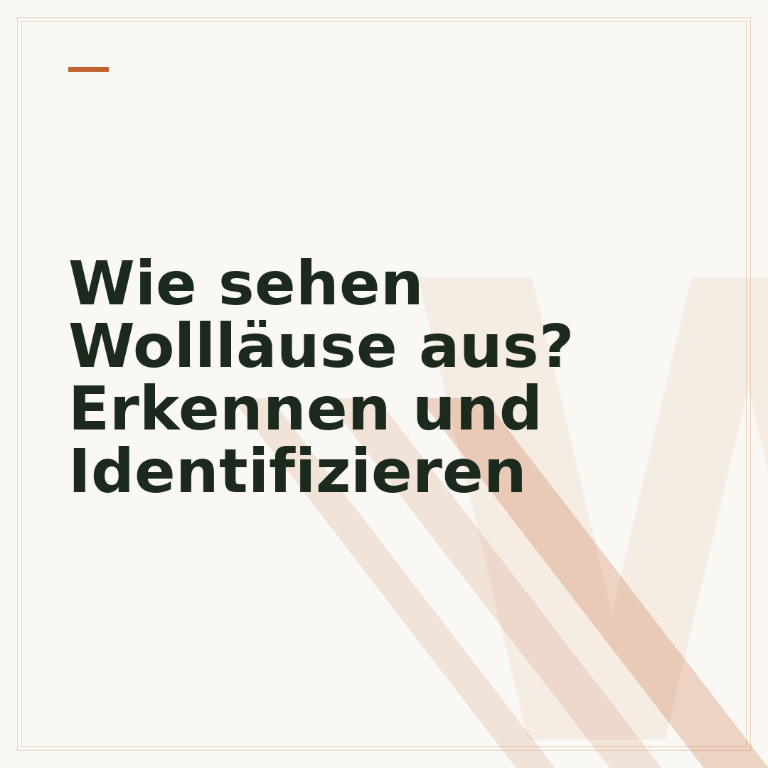 Wie sehen Wollläuse aus? Erkennen und Identifizieren