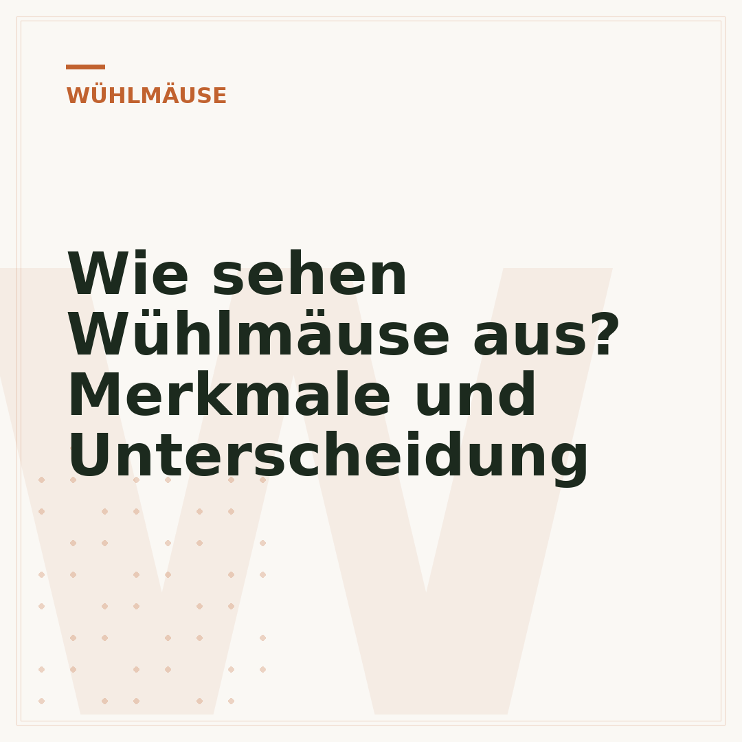 Wie sehen Wühlmäuse aus? Merkmale und Unterscheidung