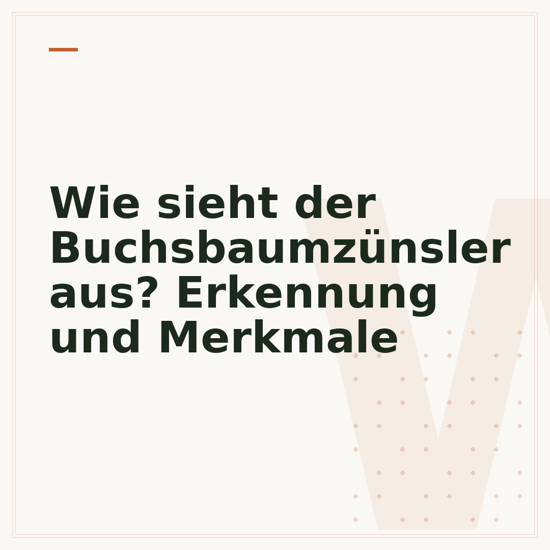 Wie sieht der Buchsbaumzünsler aus? Erkennung und Merkmale