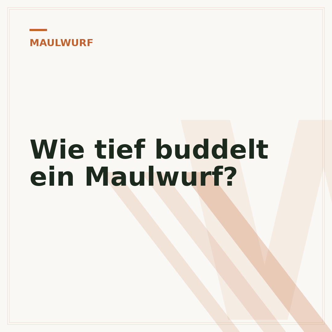 Wie tief buddelt ein Maulwurf?