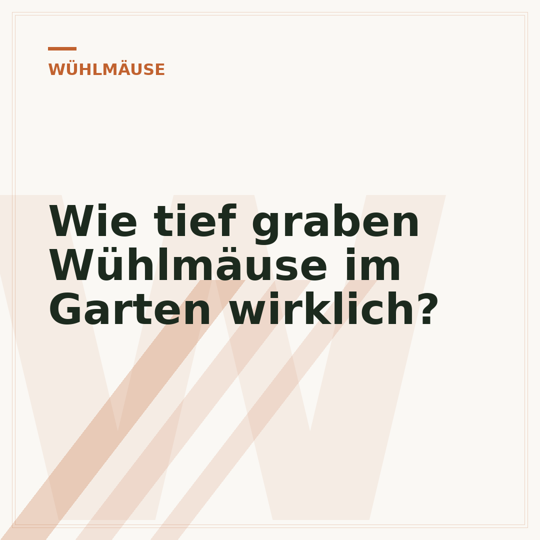 Wie tief graben Wühlmäuse im Garten wirklich?