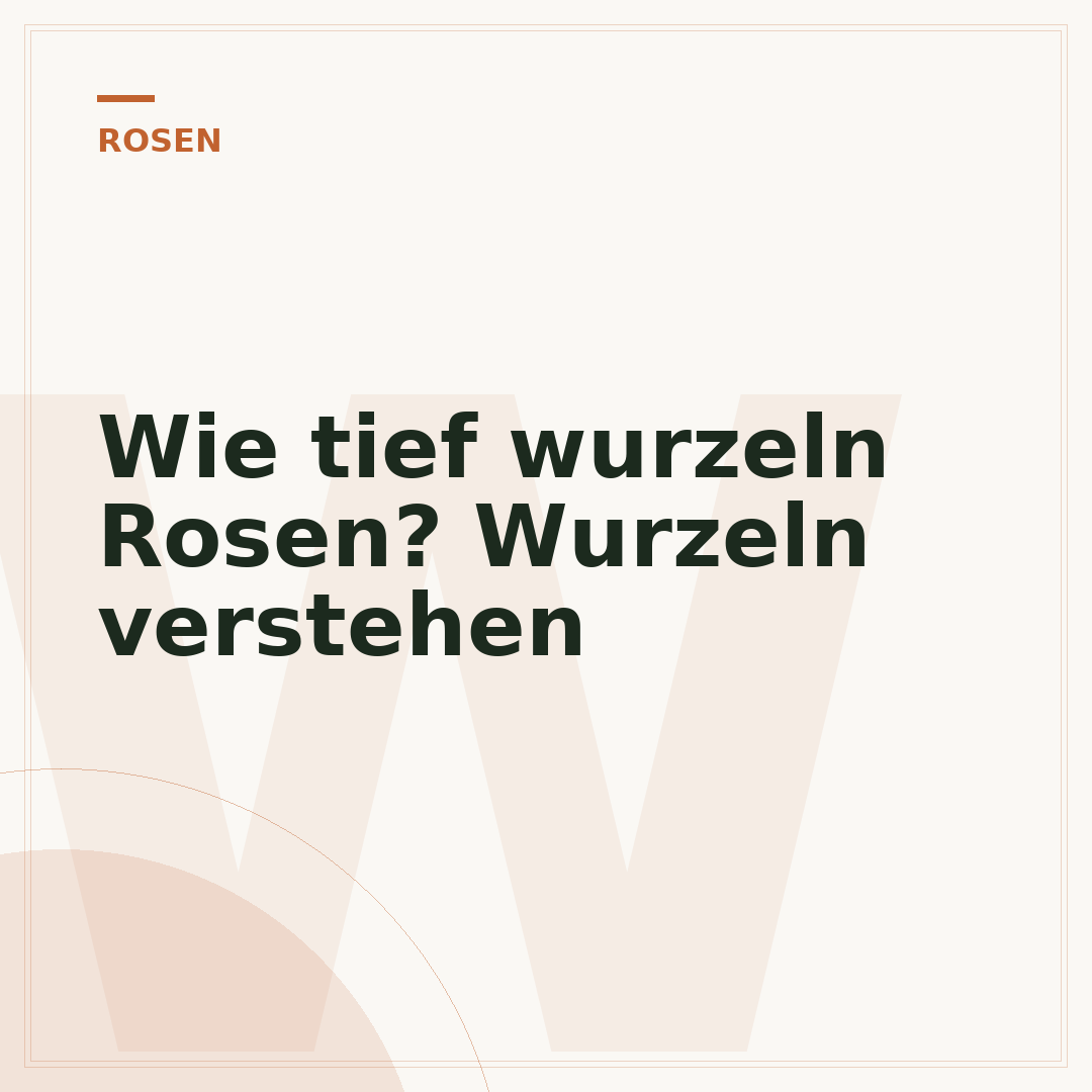 Wie tief wurzeln Rosen? Wurzeln verstehen