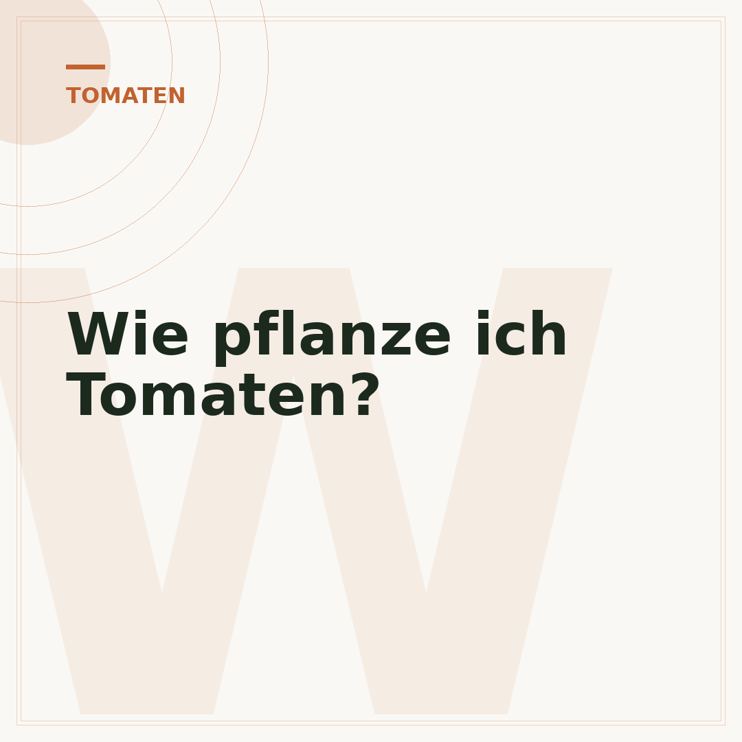 Wie pflanze ich Tomaten?