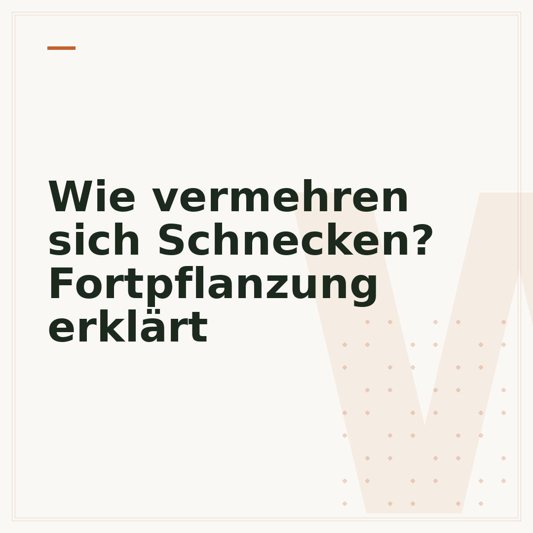 Wie vermehren sich Schnecken? Fortpflanzung erklärt