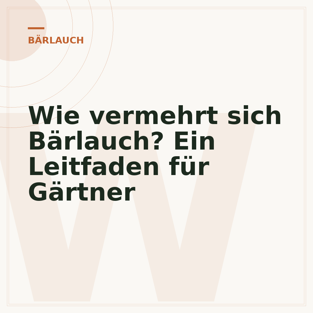 Wie vermehrt sich Bärlauch? Ein Leitfaden für Gärtner