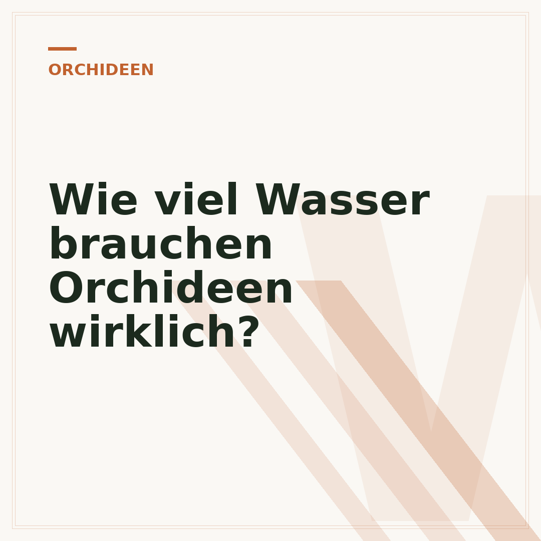 Wie viel Wasser brauchen Orchideen wirklich?