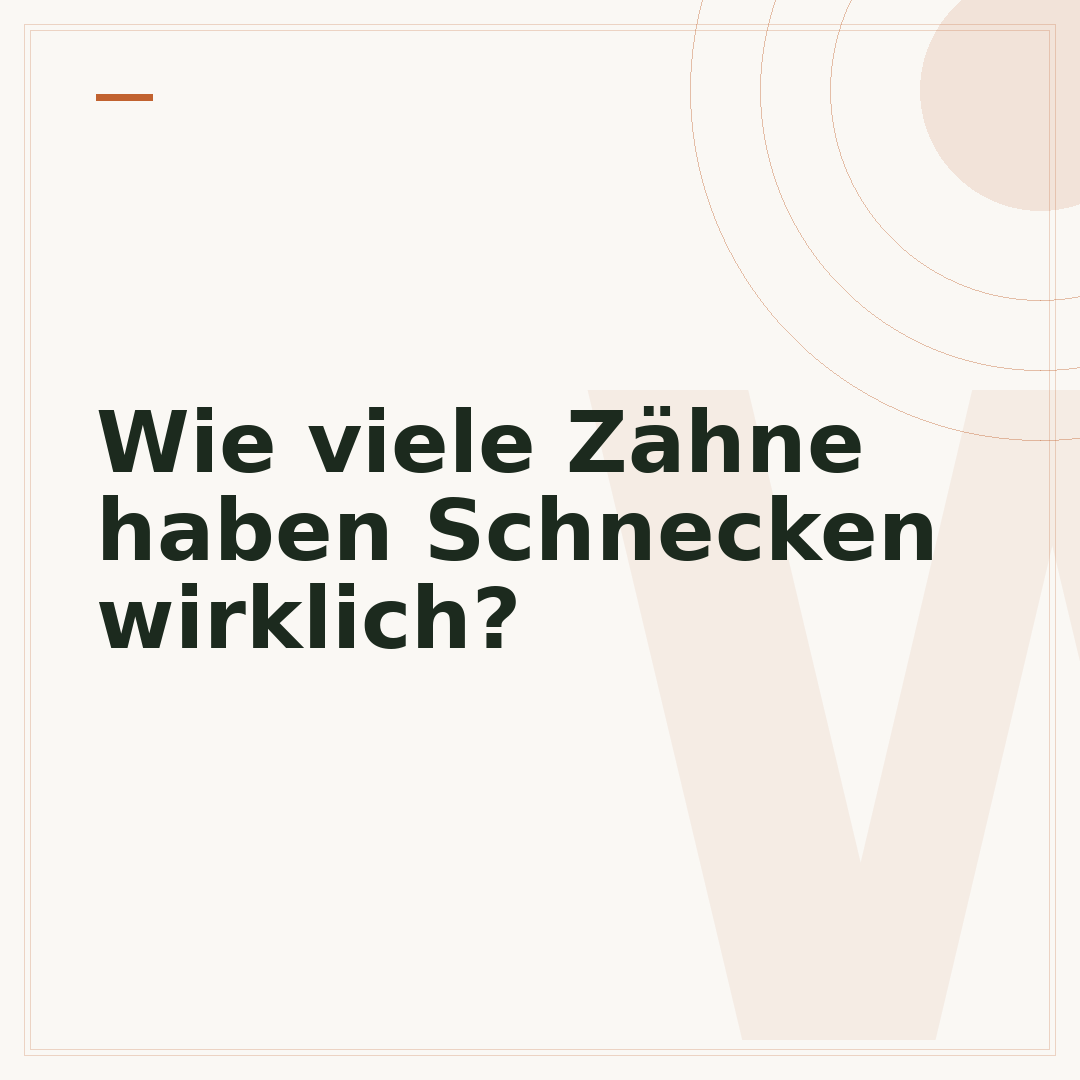 Wie viele Zähne haben Schnecken wirklich?