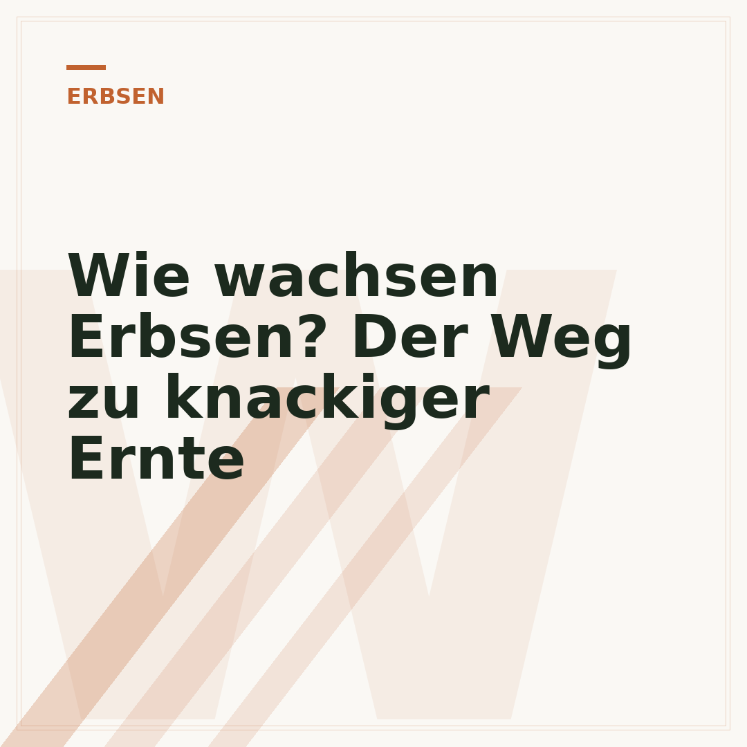 Wie wachsen Erbsen? Der Weg zu knackiger Ernte