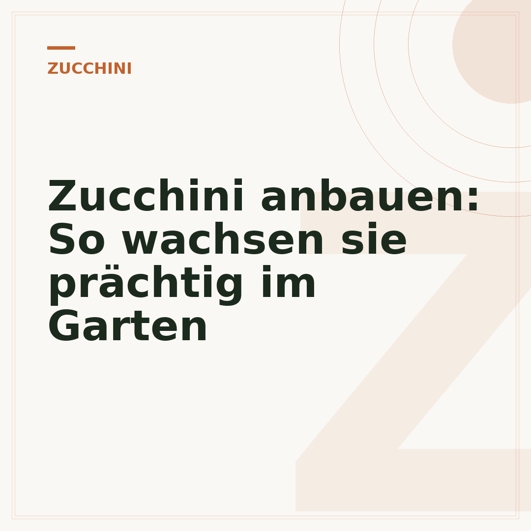 Zucchini anbauen: So wachsen sie prächtig im Garten
