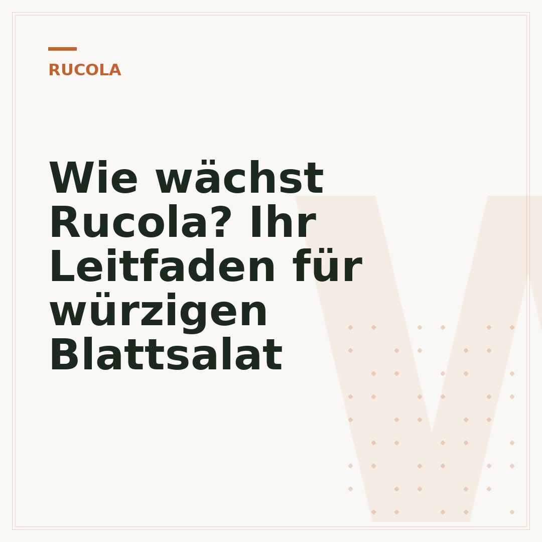 Wie wächst Rucola? Ihr Leitfaden für würzigen Blattsalat