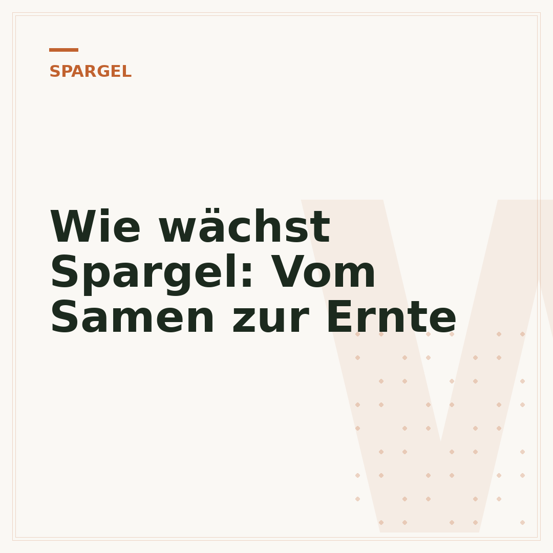 Wie wächst Spargel: Vom Samen zur Ernte